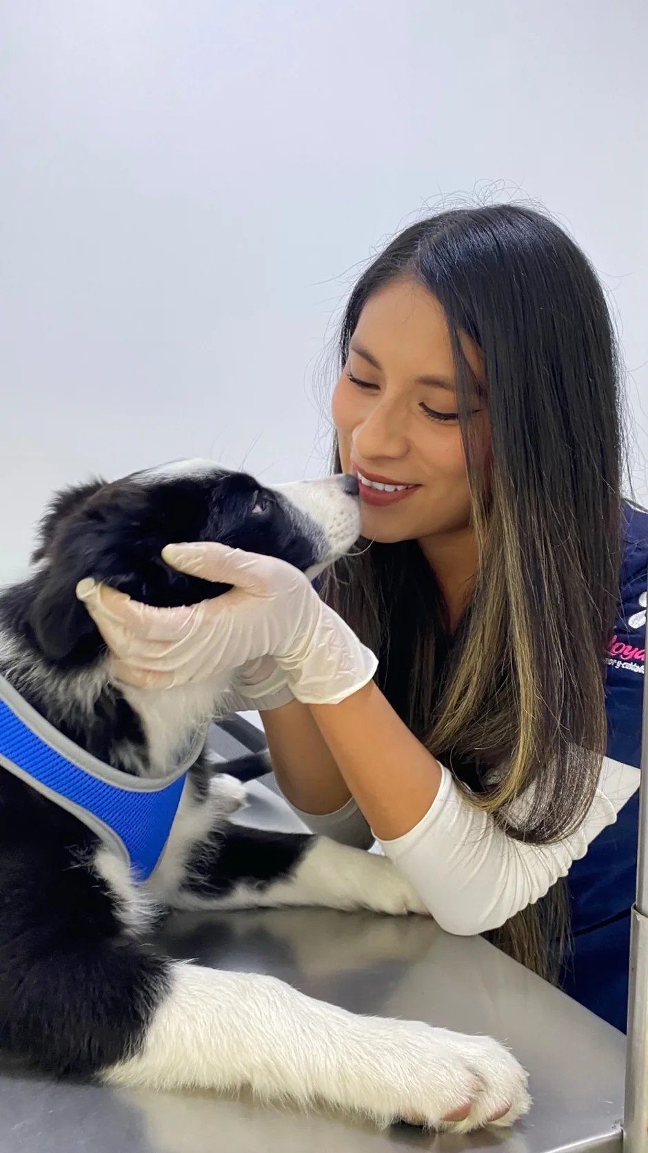 Loyal Pets video
